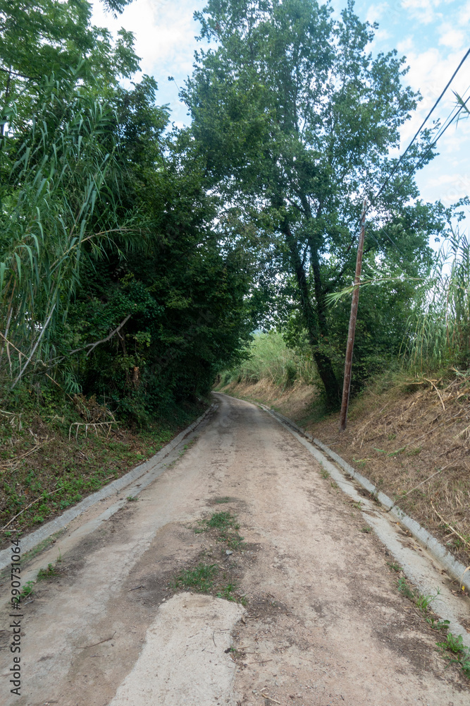 The green way of the carrilet path of Olot The green way of the carrilet path of Olot