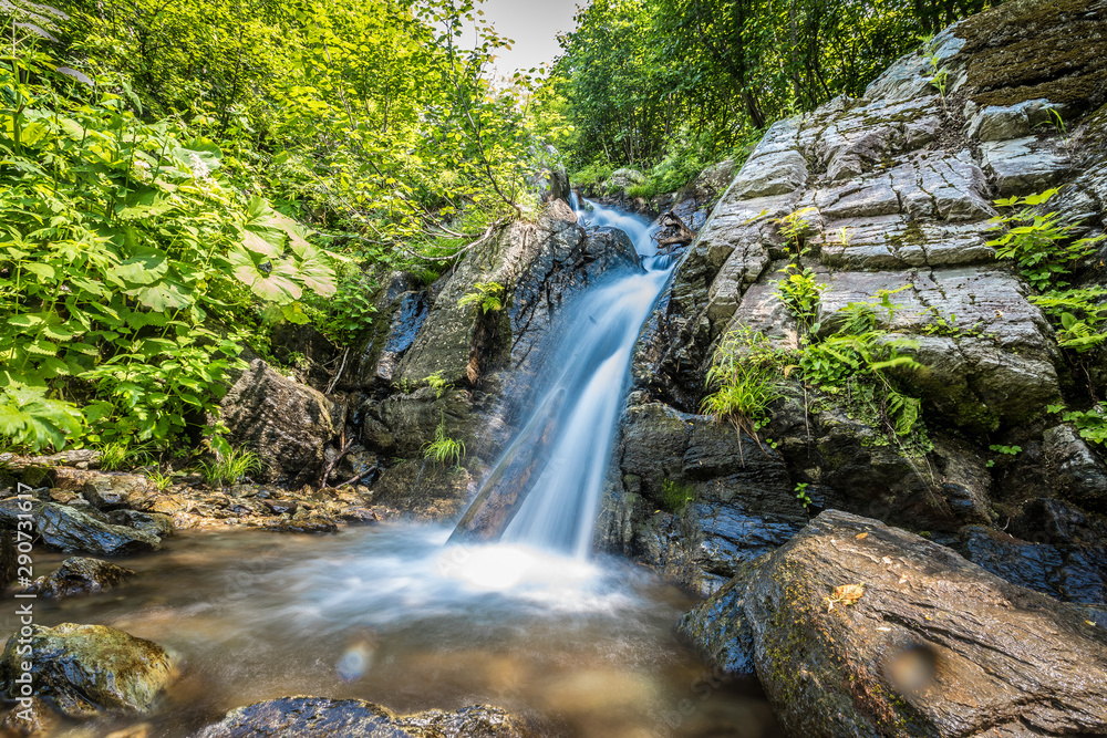 Fototapeta premium Waterfall on forest creek