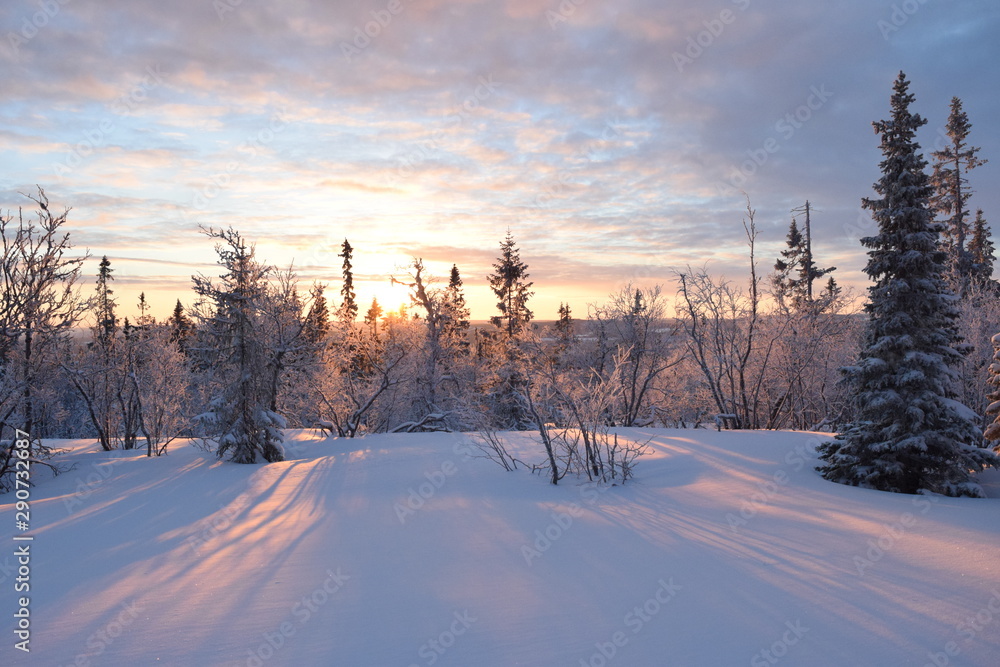 Fototapeta premium winter landscape with road and blue sky