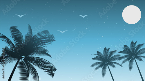 beach  palm tree  nature background  sky  birds