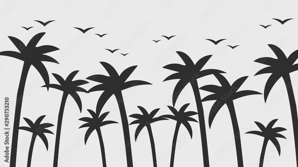 beach, palm tree, nature background, sky, birds