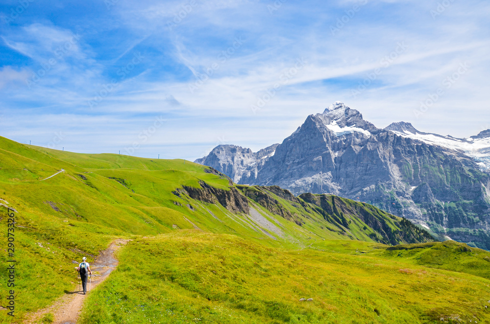 Fototapeta premium Hiker in the Swiss Alps walking with hiking poles. Mountains Jungfrau, Eiger and Monch in the background. Nordic walking. Outdoor activities. Alpine landscape, hiking path. Trail. Switzerland summer