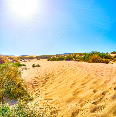 Valdevaqueros Dune. El Estrecho Natural Park. Tarifa, Cadiz. Andalusia, Spain. photo