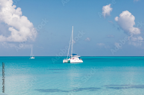Sailing catamaran in the sea © sidoy