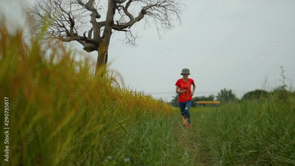 Asian woman running in rice field with the dog. Asian woman running in rice field with the dog.