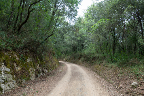 The green way of the carrilet path of Olot photo