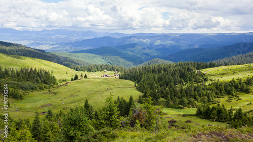 Mountain meadow in the Carpathians © iava777