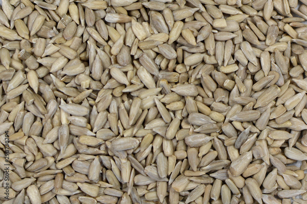 Top view background with white dehulled sunflower seeds Top view background with white dehulled sunflower seeds