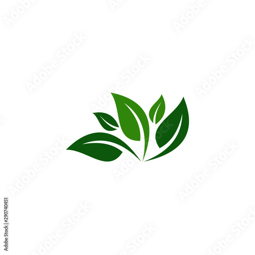 Fototapeta Naklejka Na Ścianę i Meble -  creative green leaf logo template