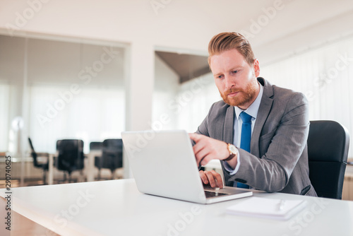 Serious businessman using laptop in bright office, pointing on something on the screen.