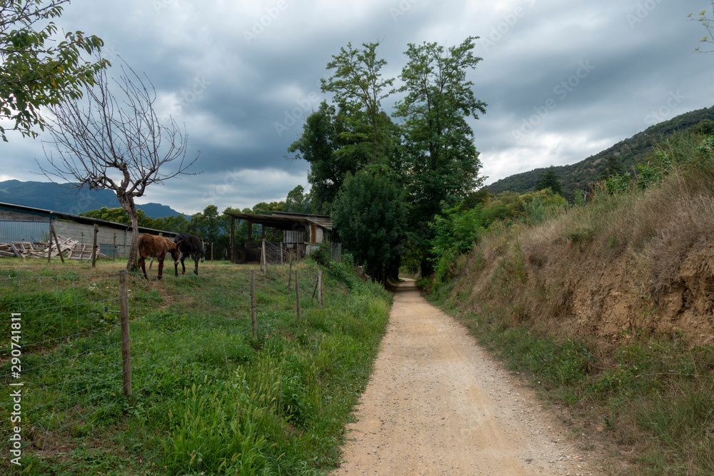 The green way of the carrilet path of Olot