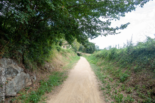 The green way of the carrilet path of Olot photo