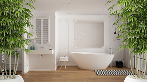 Zen interior with potted bamboo plant  natural interior design concept  minimalist luxury bathroom with bathtub  sink and carpet  contemporary modern architecture concept idea