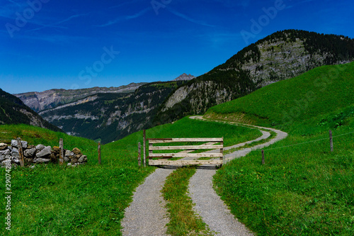 Berge mit weg