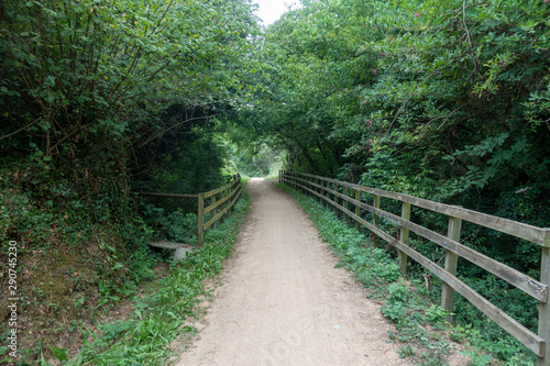 The green way of the carrilet path of Olot