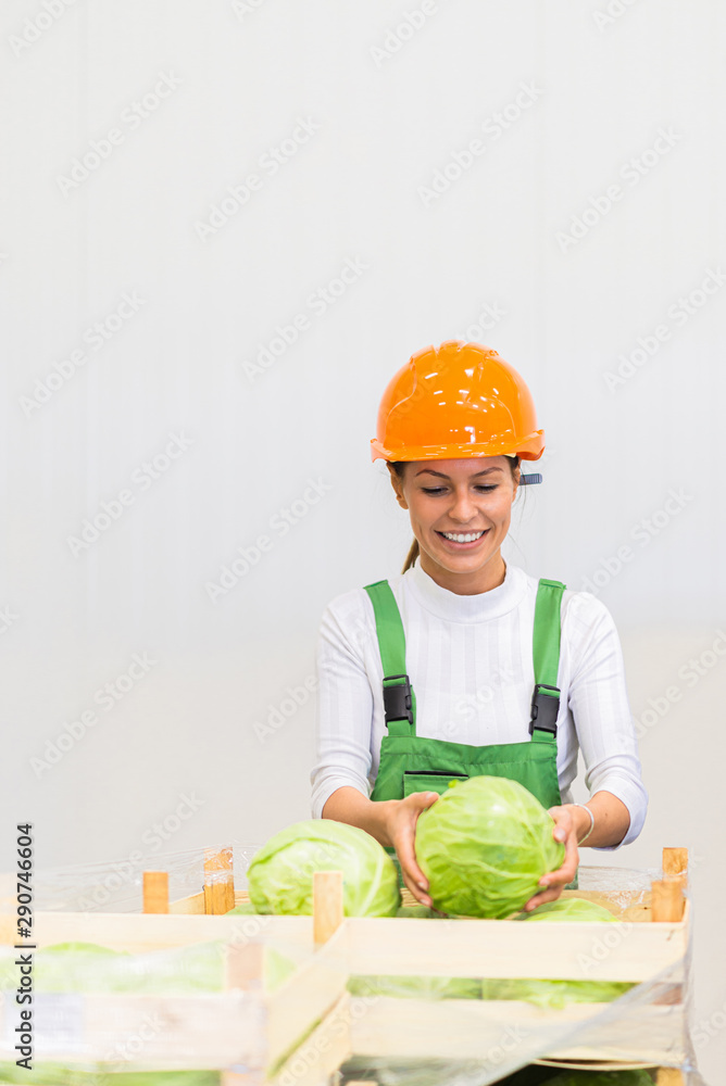 From farm to the table, organic food production and distribution concept. From farm to the table, organic food production and distribution concept.