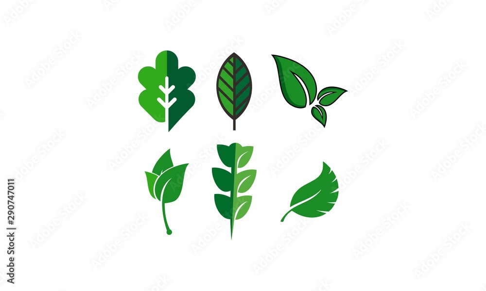 leaf logo set template
