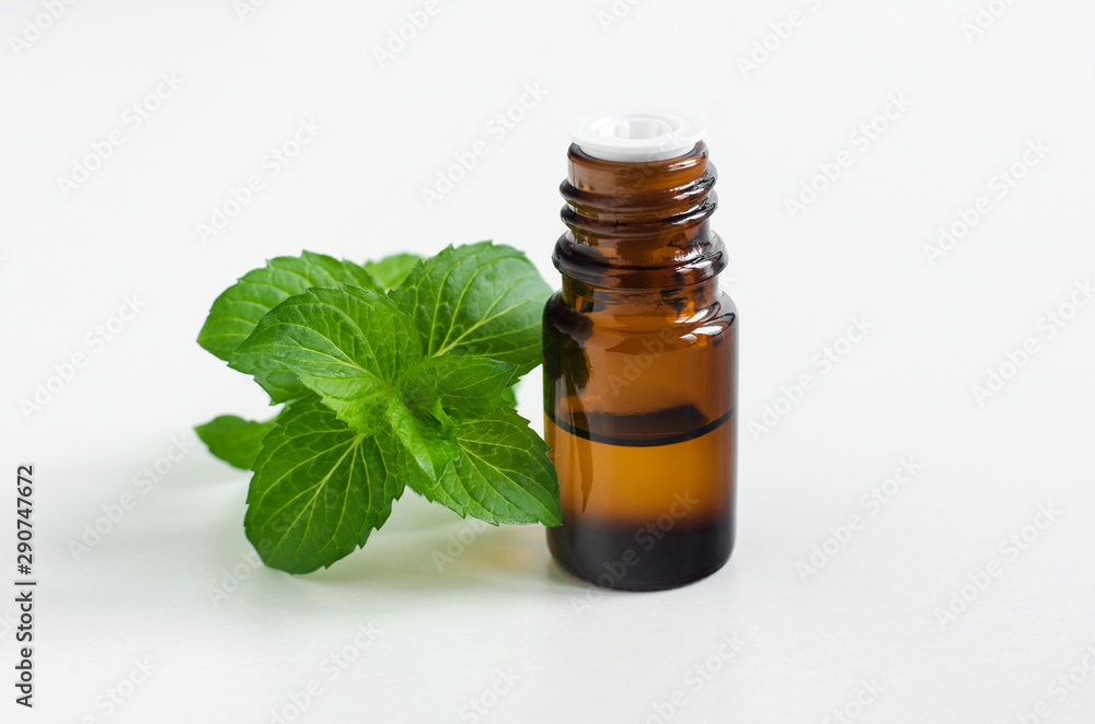 Small bottle with essential peppermint oil. Fresh mint leaves close up. Aromatherapy, spa and herbal medicine ingredients. Copy space Small bottle with essential peppermint oil. Fresh mint leaves close up. Aromatherapy, spa and herbal medicine ingredients. Copy space