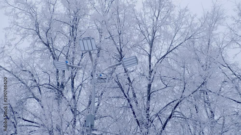 Streetlight lamp and power line on the background of snowy trees in winter Streetlight lamp and power line on the background of snowy trees in winter