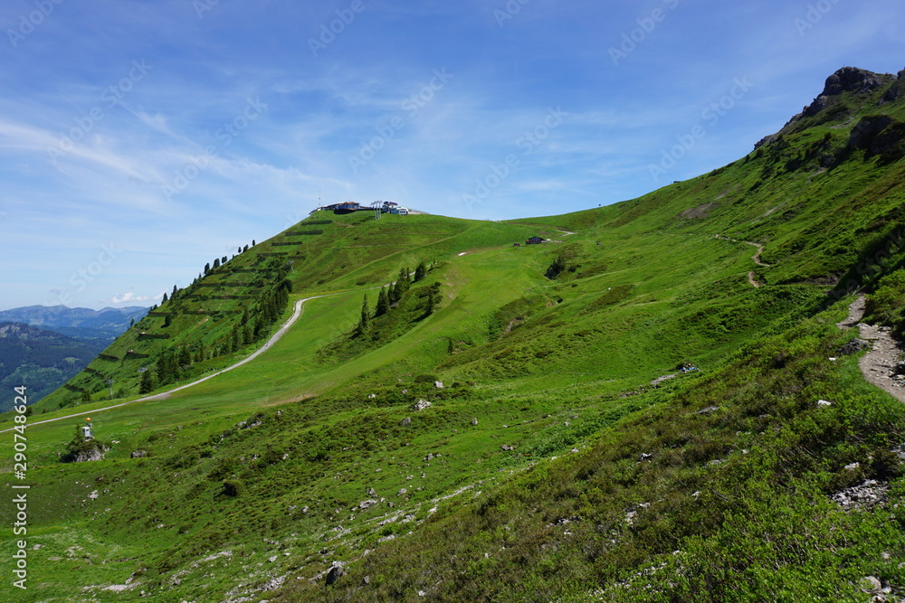 Grüner Berg