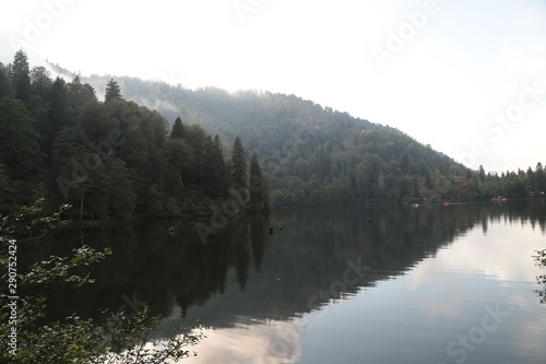 Mountain forest lake reflection landscape. Savsat/ Artvin  © murat