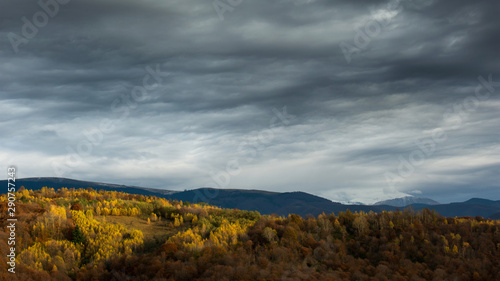 Autumn landscape scene with yellow forest and mountain in the background photo