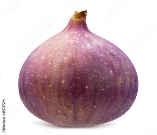 fig isolated on a white background