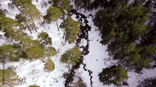 Wallpaper Mural Aerial shot above ice cold river at snowy forest with trees. High green trees at snow forest. Torontodigital.ca