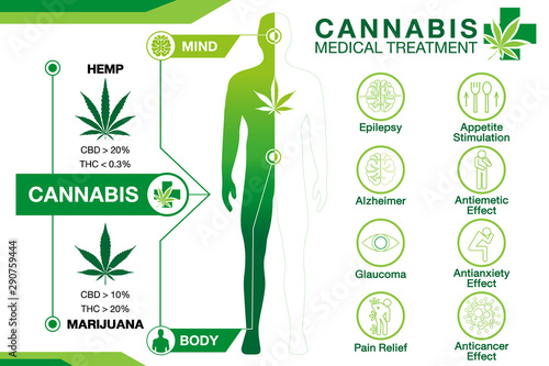 cannabis medical treatment used for your health active on your body and your mind infographic on white background.