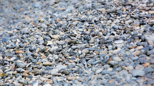 beach pebbles in Normandy, France