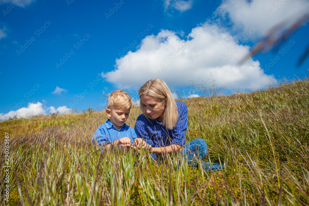 Fototapeta premium The family tastes wild berries in the mountains
