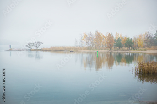 Serene Scandinavian fall landscape of Southern Finland, Espoo in foggy day. Colorful autumn forest reflecting in calm sea water. Fallen leaves on water surface and misty sea. Serene Scandinavian fall 