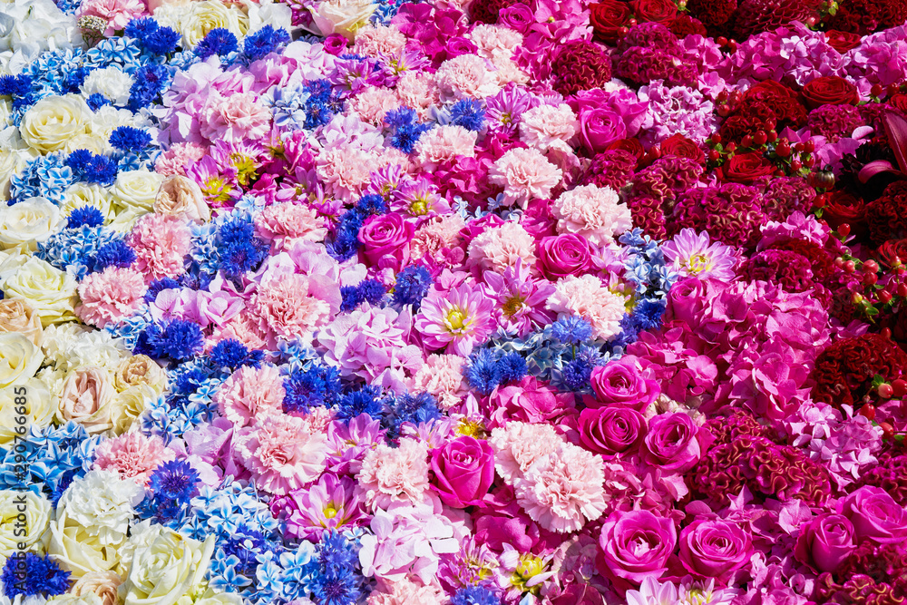 Colorful flowers background. Top view.