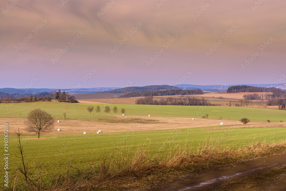 Agricultural landscape with green fields