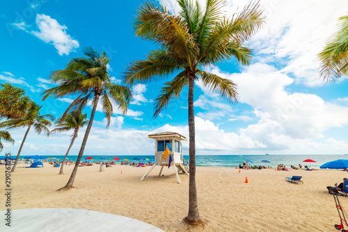 Fototapeta Naklejka Na Ścianę i Meble -  Golden sand and palm trees in Fort Lauderdale shore