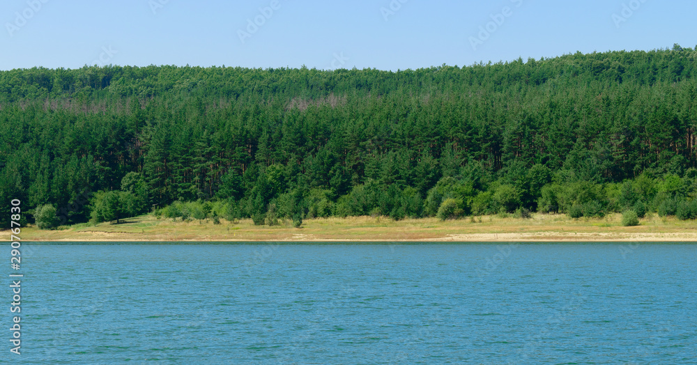 Lake and forest