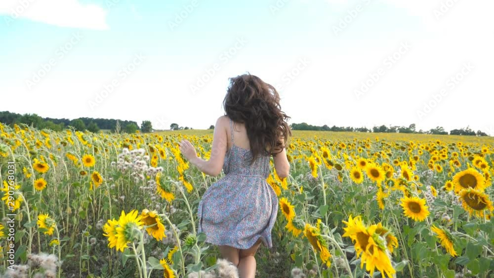 Unrecognizable beautiful girl running on yellow sunflower field. Happy young woman jogging through the meadow during summer day. Freedom leisure concept. Slow motion Unrecognizable beautiful girl running on yellow sunflower field. Happy young woman jogging through the meadow during summer day. Freedom leisure concept. Slow motion