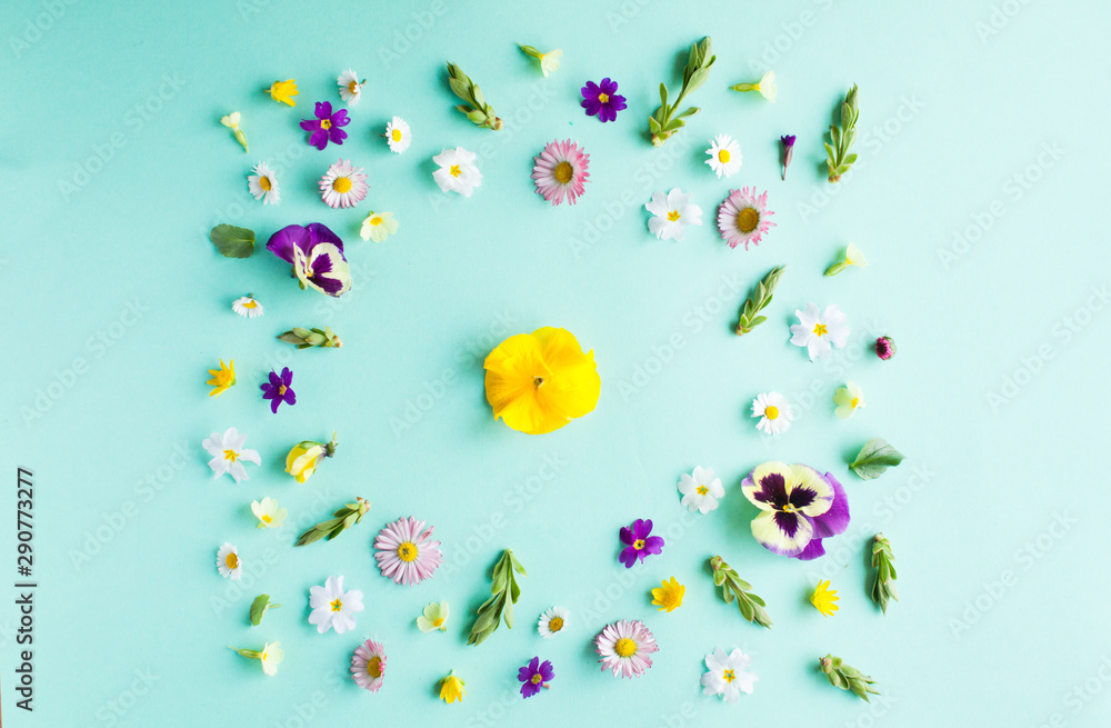 Spring flowers flat lay on the blue background Spring flowers flat lay on the blue background