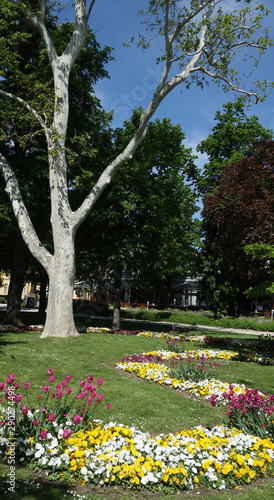 park in spring with flowers