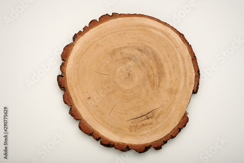 Sanded unfinished oak tree slice with bark on solid white background