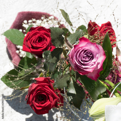 Variety of roses  Red Naomi and Deep purple  with green leaves in a beautiful floral bouquet. The bunch of flowers are arranged in a violet sleeve.