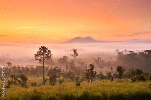 Misty morning sunrise at Thung Salaeng Luang National Park, Phetchabon, Thailand. Beautiful landscape of foggy sunrise in grassland savannah. Thung Salaeng Luang is grassland savannah in Thailand. 