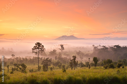 Misty morning sunrise at Thung Salaeng Luang National Park, Phetchabon, Thailand. Beautiful landscape of foggy sunrise in grassland savannah. Thung Salaeng Luang is grassland savannah in Thailand. 