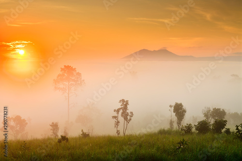 Misty morning sunrise at Thung Salaeng Luang National Park, Phetchabon, Thailand. Beautiful landscape of foggy sunrise in grassland savannah. Thung Salaeng Luang is grassland savannah in Thailand. 