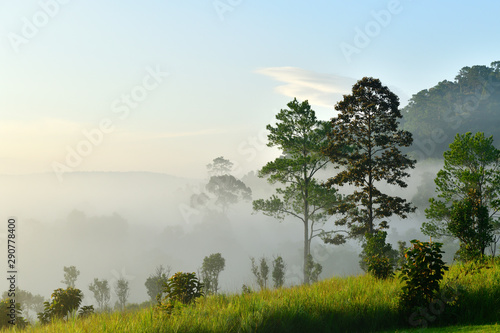 Misty morning sunrise at Thung Salaeng Luang National Park, Phetchabon, Thailand. Beautiful landscape of foggy sunrise in grassland savannah. Thung Salaeng Luang is grassland savannah in Thailand. 