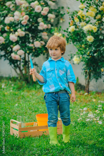 Child working in garden near flowers garden. Happy son working in the garden. Gardening activity with little kid. Flower rose care and watering. © Volodymyr