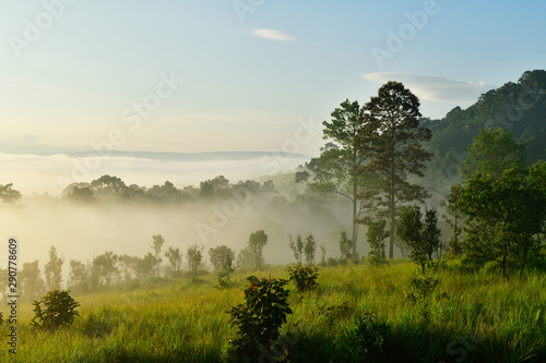 Misty morning sunrise at Thung Salaeng Luang National Park, Phetchabon, Thailand. Beautiful landscape of foggy sunrise in grassland savannah. Thung Salaeng Luang is grassland savannah in Thailand. 
