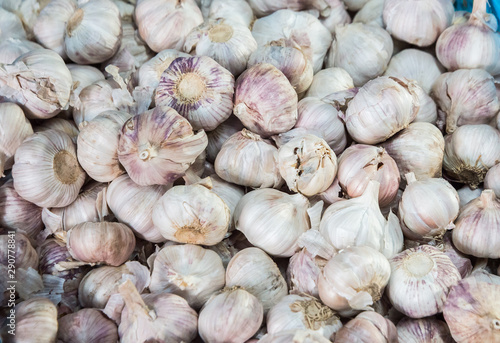 White garlic pile. Fresh garlic on Thailand market. Cooking ingredient picture. Pile of white garlic heads, food background