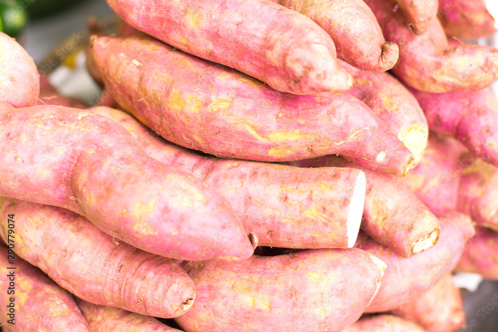 Fresh Sweet Potato Vegetables in the Market Fresh Sweet Potato Vegetables in the Market
