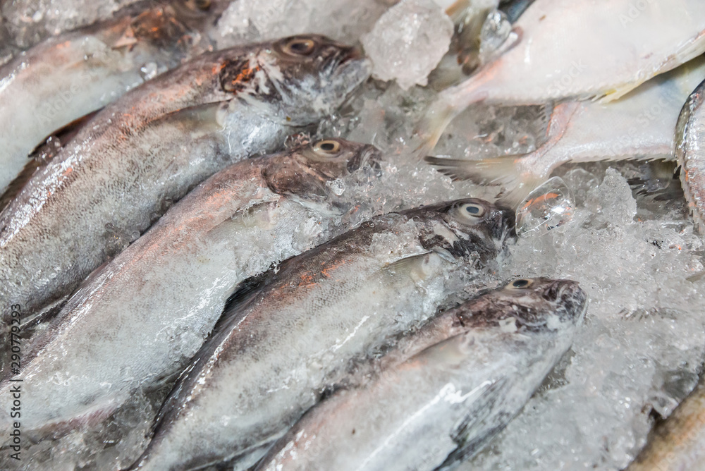 raw barramundi fish on ice in Thailand market ,seafood background ,seafood market.